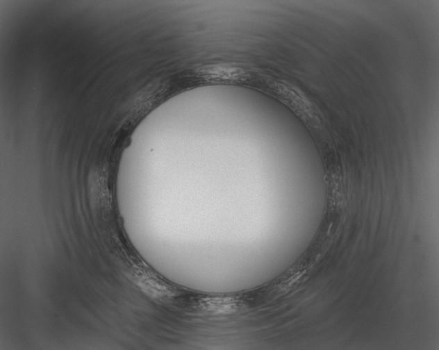 X0000083530377200702240024