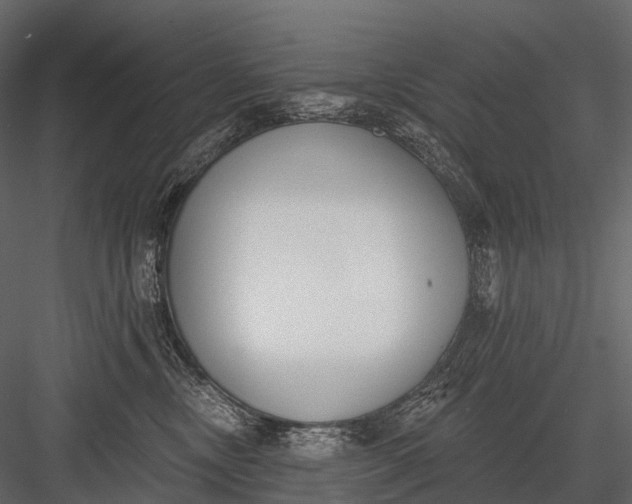 X0000083530378200702240024