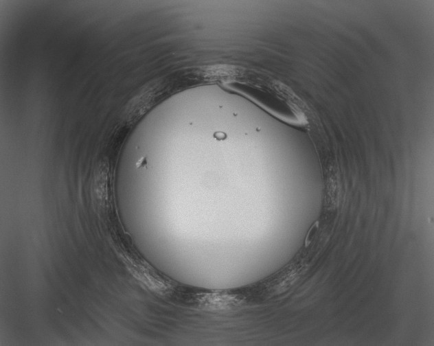 X0000083530379200702240025