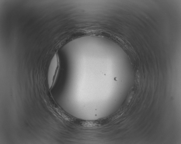 X0000083530380200702240025