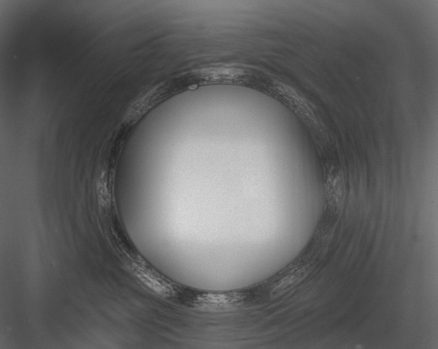 X0000083530381200702240025