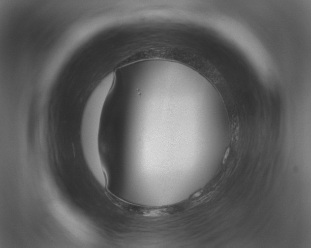 X0000083530382200702240025