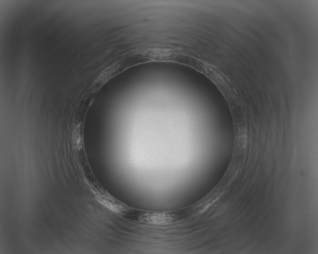 X0000083530383200702240025