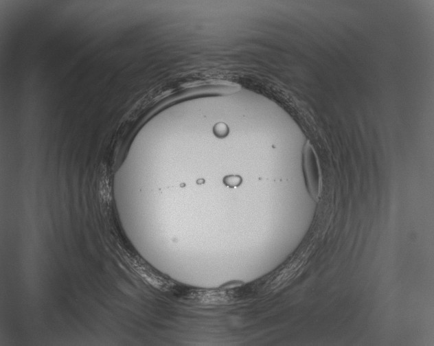 X0000083530384200702240025