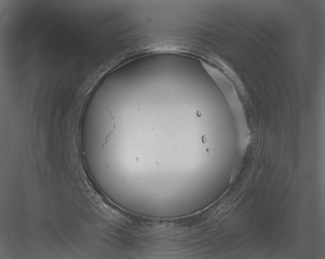 X0000083530385200702240024