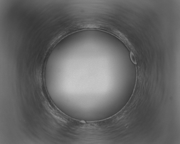 X0000083530386200702240024