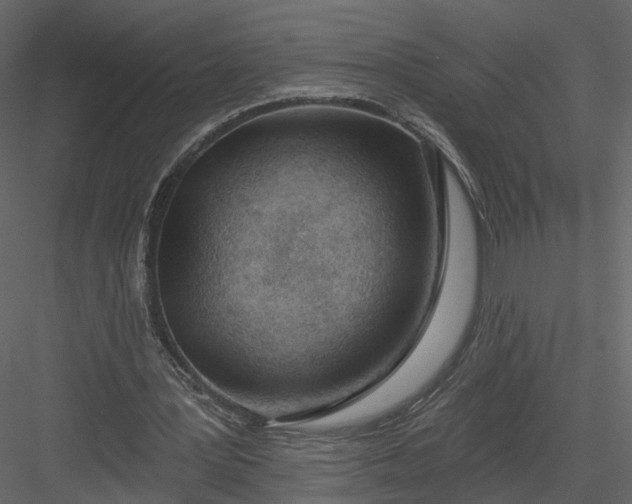 X0000083530387200702240024