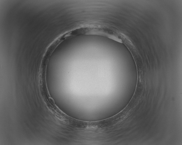 X0000083530388200702240024