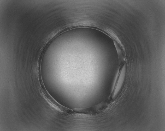 X0000083530389200702240024