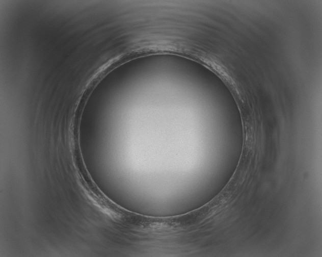 X0000083530390200702240024