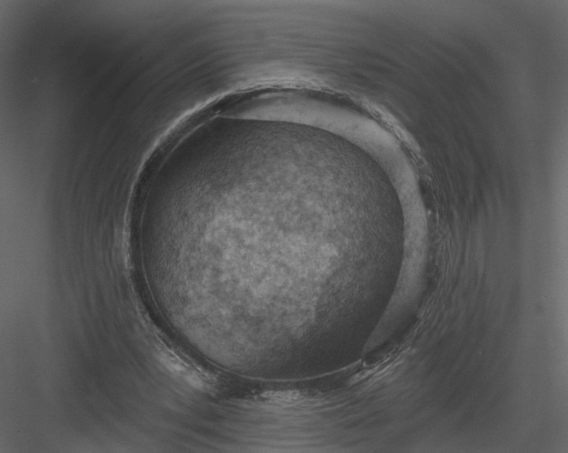 X0000083530391200702240024