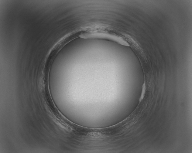 X0000083530392200702240024