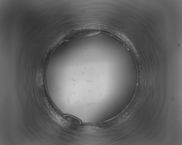 X0000083530393200702240024