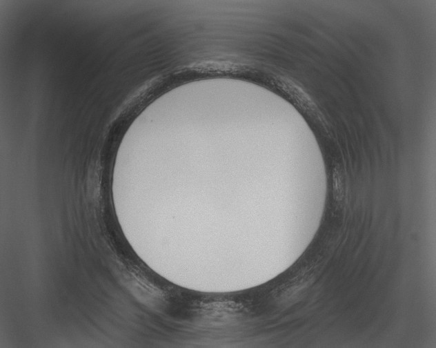 X0000083530396200702240024