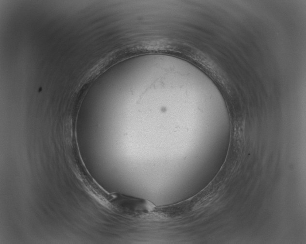 X0000083530397200702240024