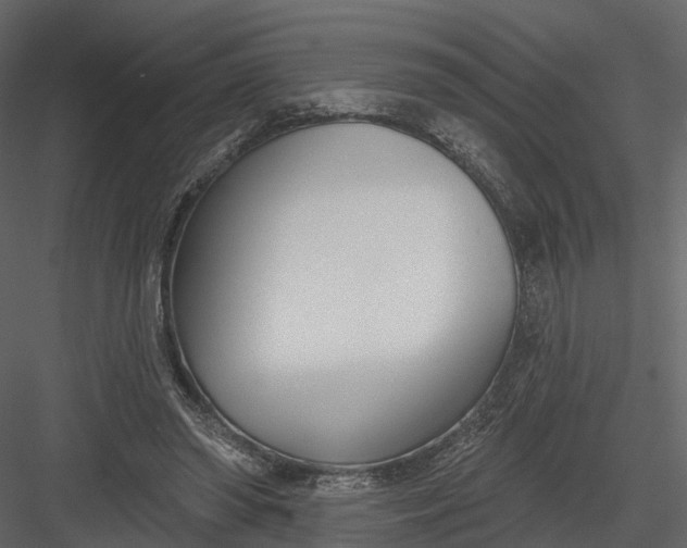 X0000083530398200702240024