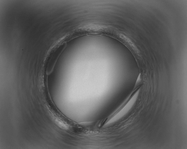 X0000083530399200702240024