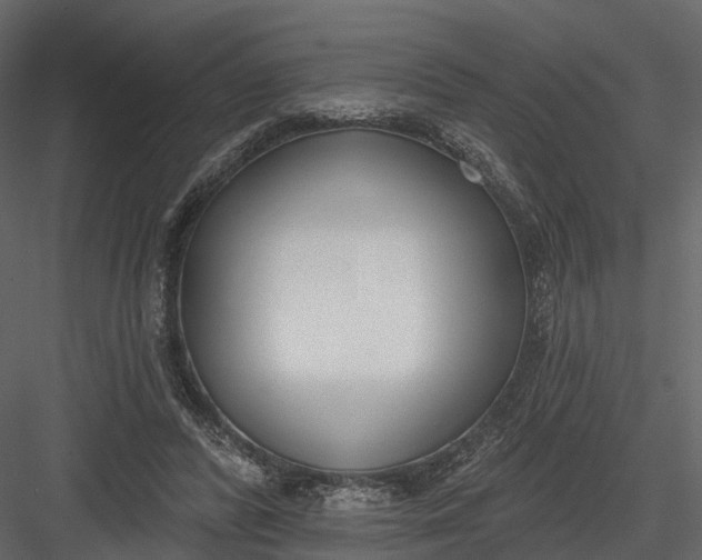 X0000083530400200702240024