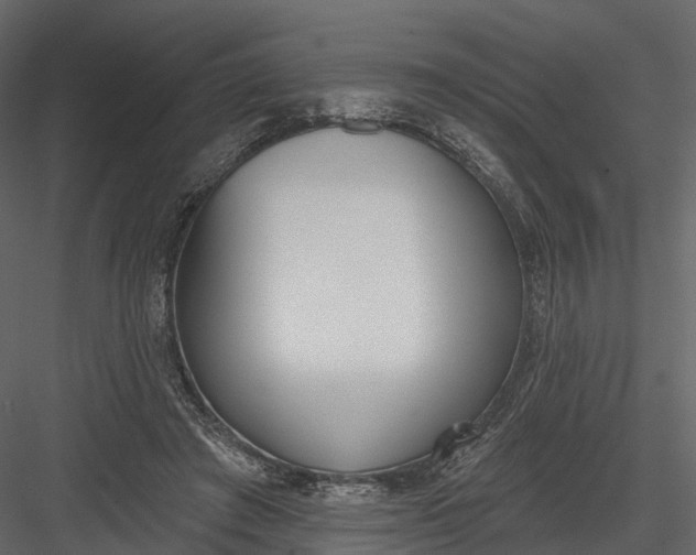 X0000083530401200702240023