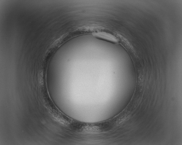 X0000083530403200702240023