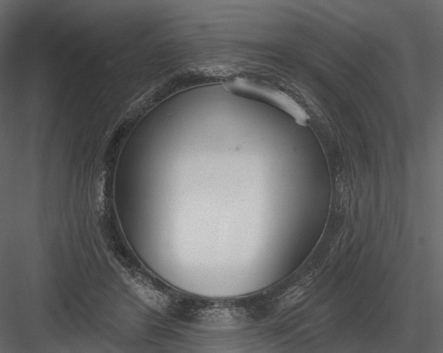 X0000083530404200702240023