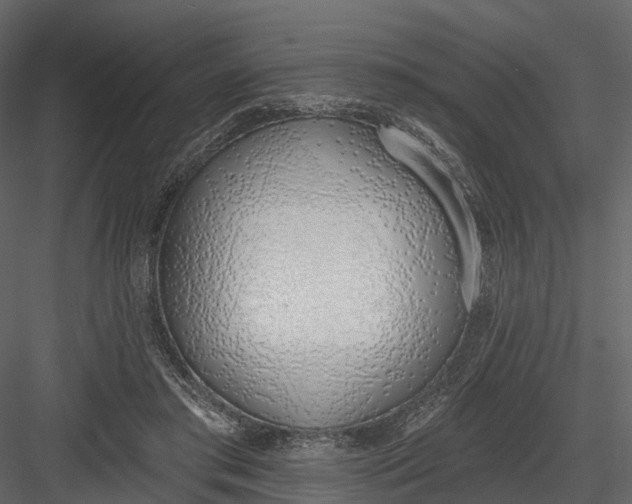 X0000083530405200702240023