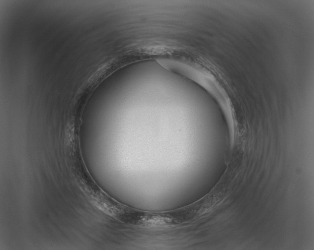 X0000083530407200702240023