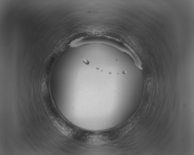 X0000083530408200702240023