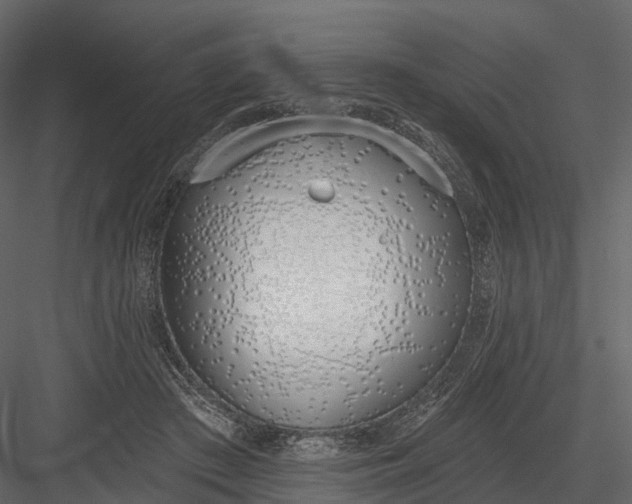 X0000083530409200702240023