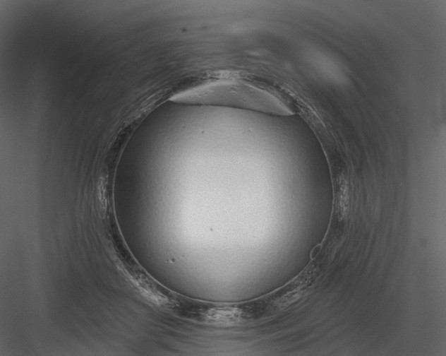 X0000083530410200702240023