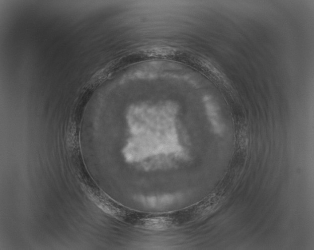 X0000083530411200702240023