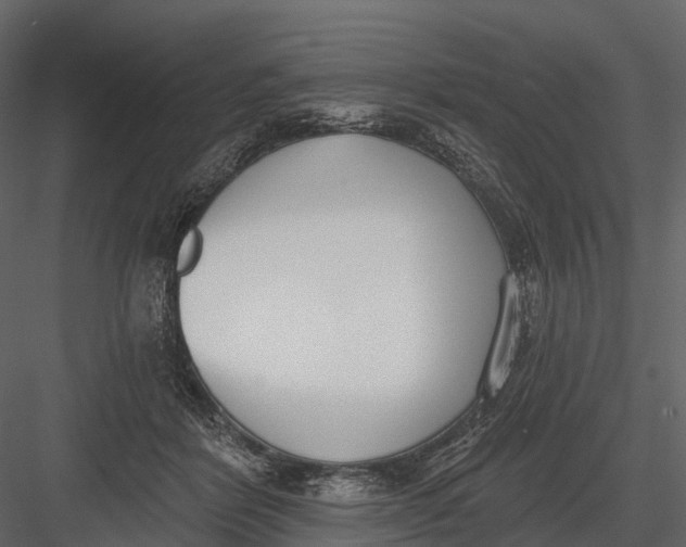 X0000083530412200702240023