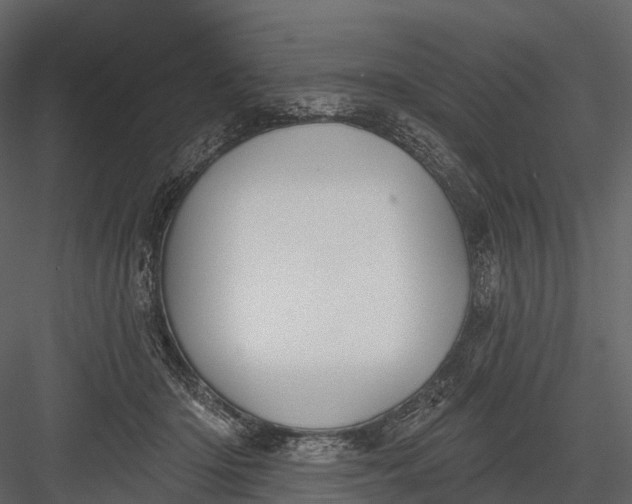 X0000083530414200702240023