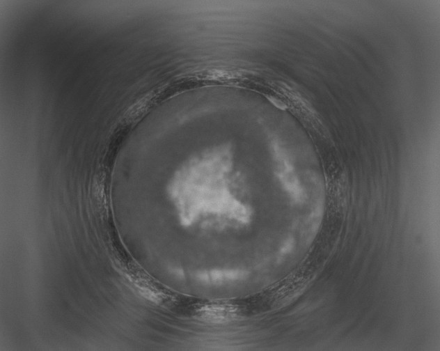 X0000083530415200702240023