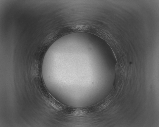 X0000083530416200702240023