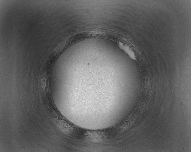 X0000083530417200702240023