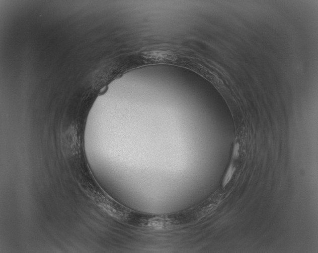 X0000083530420200702240023