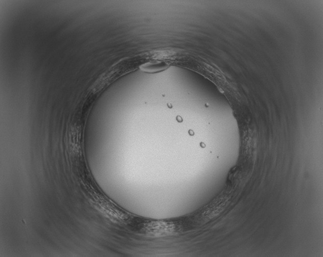 X0000083530421200702240023