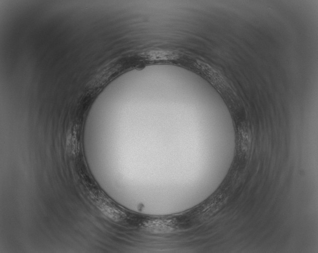 X0000083530422200702240023