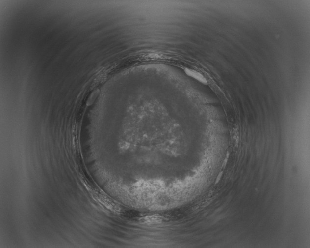 X0000083530423200702240023