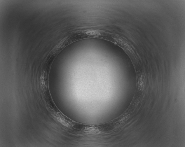 X0000083530424200702240023