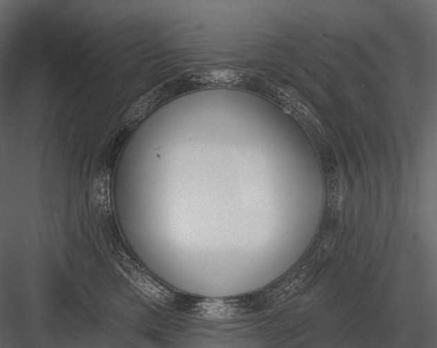 X0000083530425200702240023