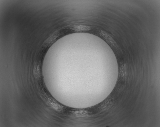 X0000083530426200702240023