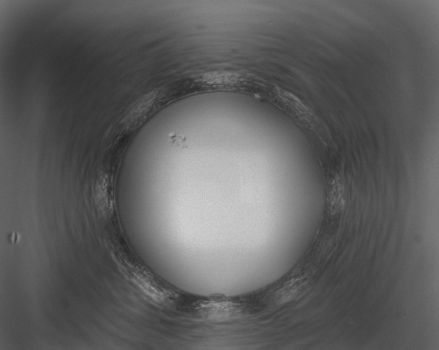 X0000083530428200702240023