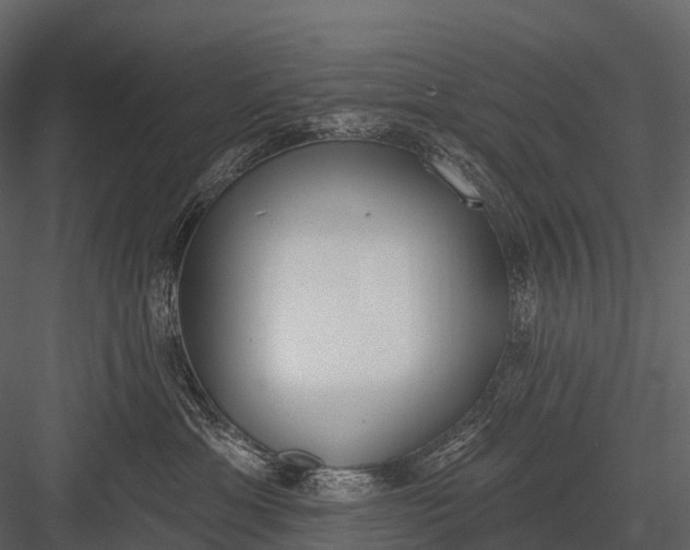 X0000083530429200702240023