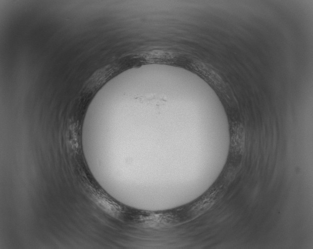 X0000083530430200702240023