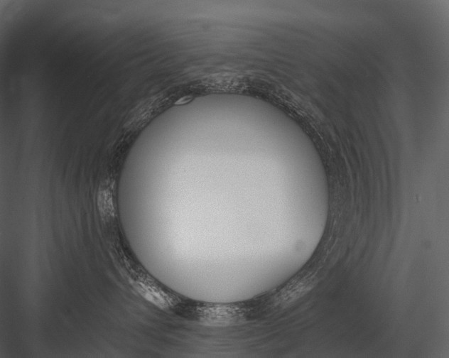 X0000083530432200702240023