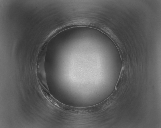 X0000083530434200702240022