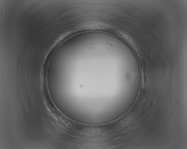 X0000083530435200702240022