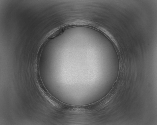 X0000083530437200702240022